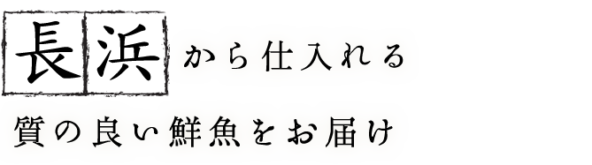 長浜から仕入れる